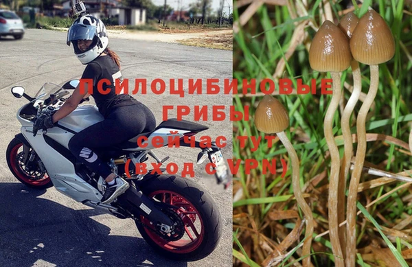 наркотики Богородск