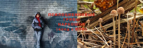 герыч Богородицк